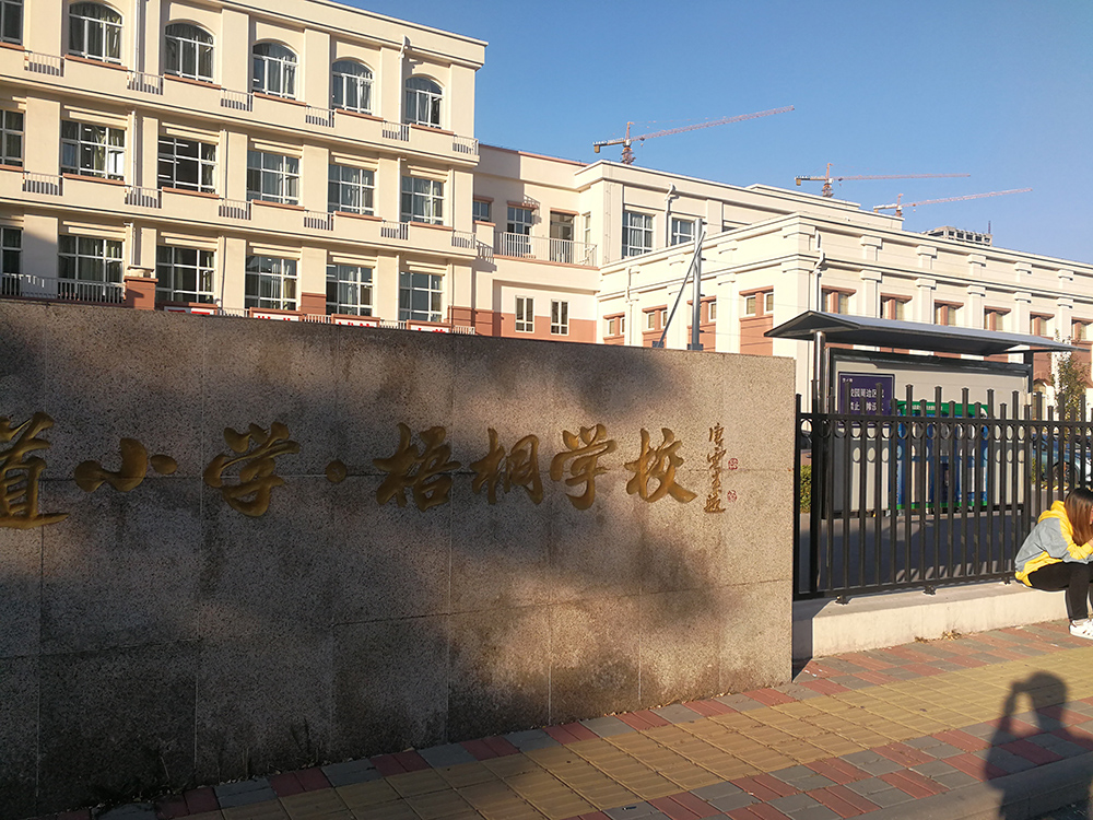 天津市上海道小学张力电子围栏案例